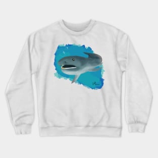 Sandalphon - Ocean Omens Crewneck Sweatshirt